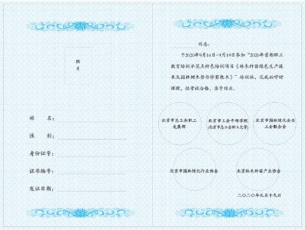 1720433746642279.png
